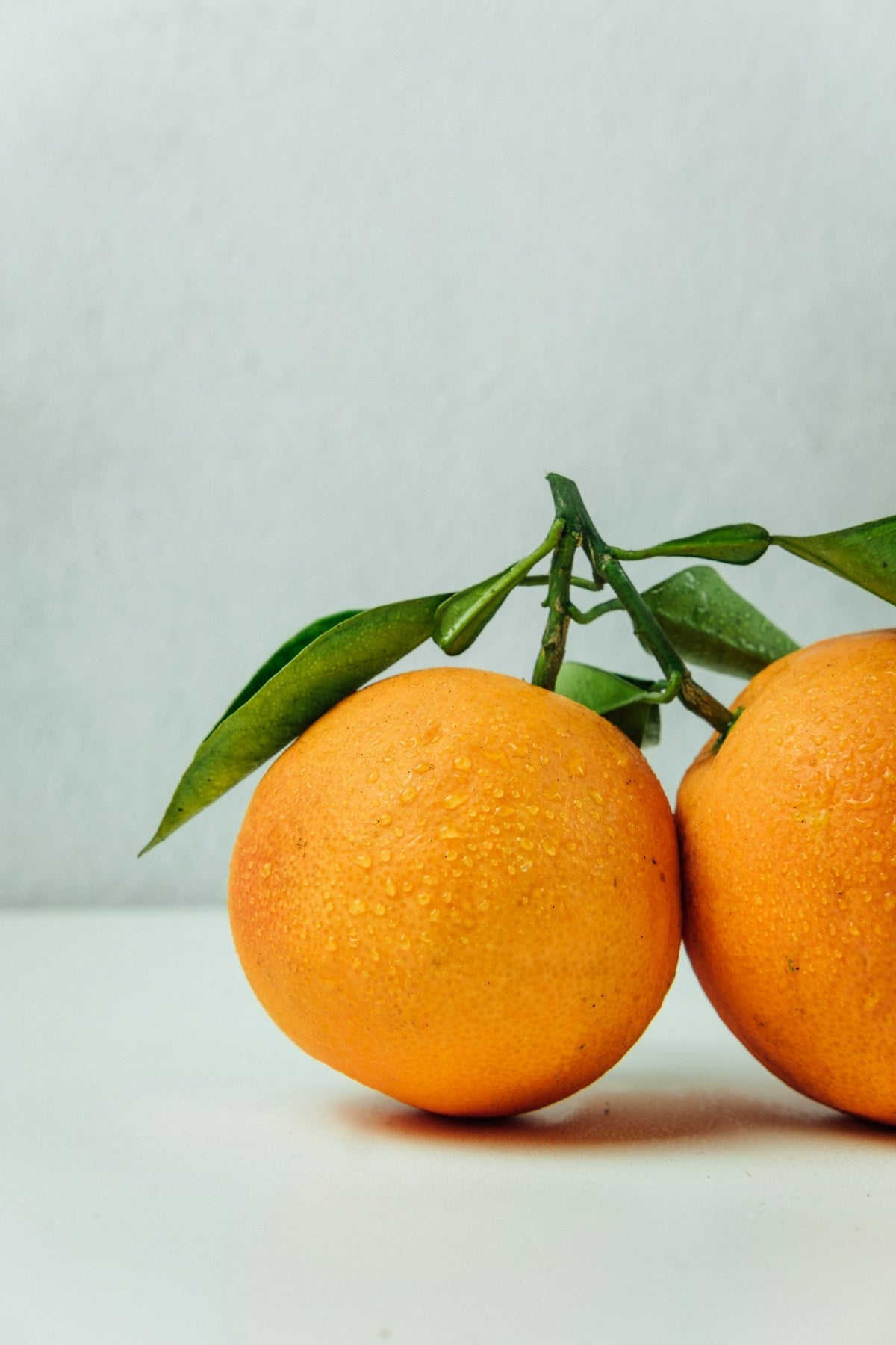 Verre de jus d’orange frais avec des agrumes